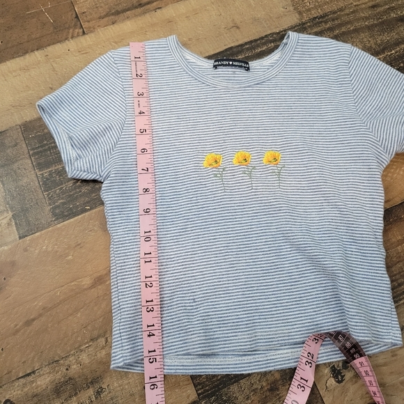 Small Brandy Melville Striped Buttercup Floral Embroidered Crop Top - Picture 5 of 5